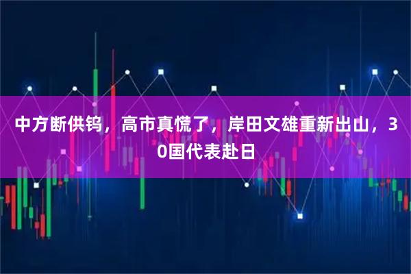 中方断供钨，高市真慌了，岸田文雄重新出山，30国代表赴日